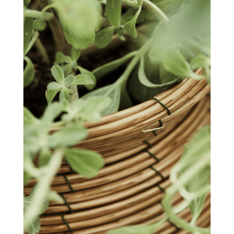 House Doctor Boum Plantenbakken, Naturel