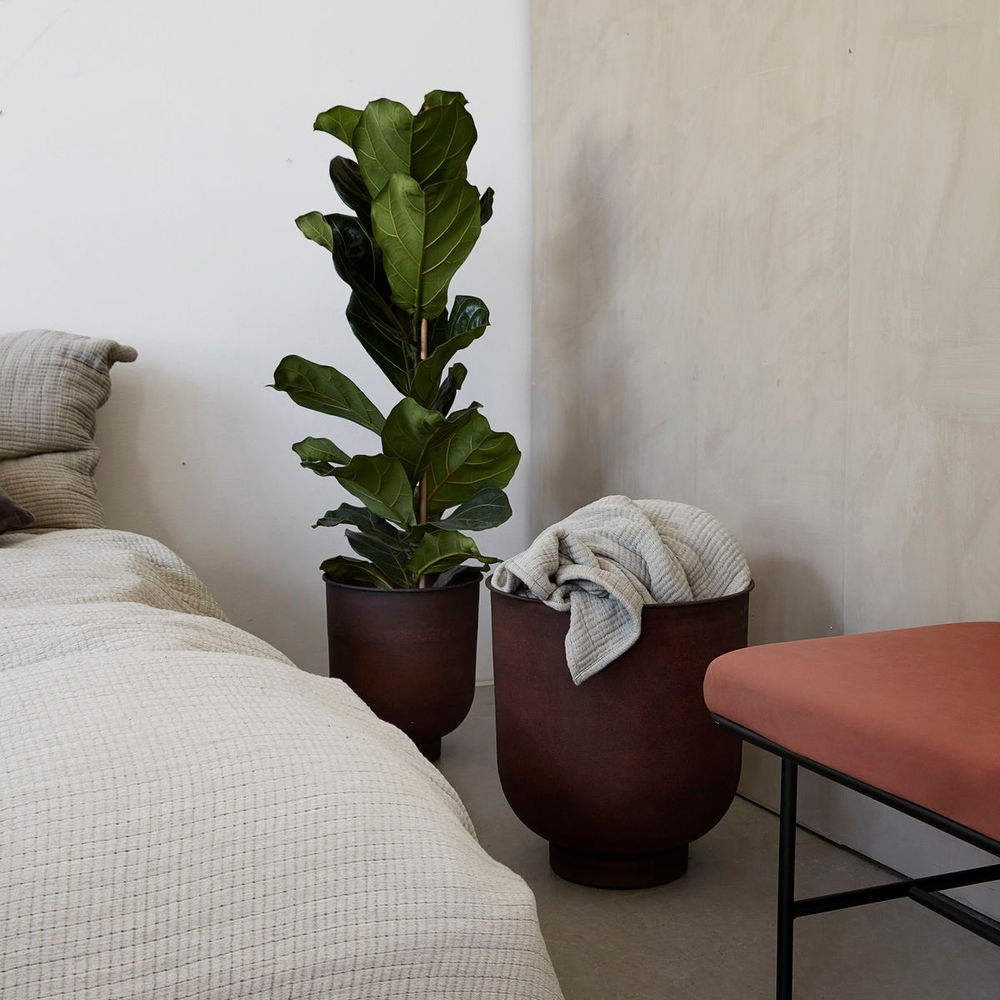 House Doctor Plants, Vig, gebranntes Henna