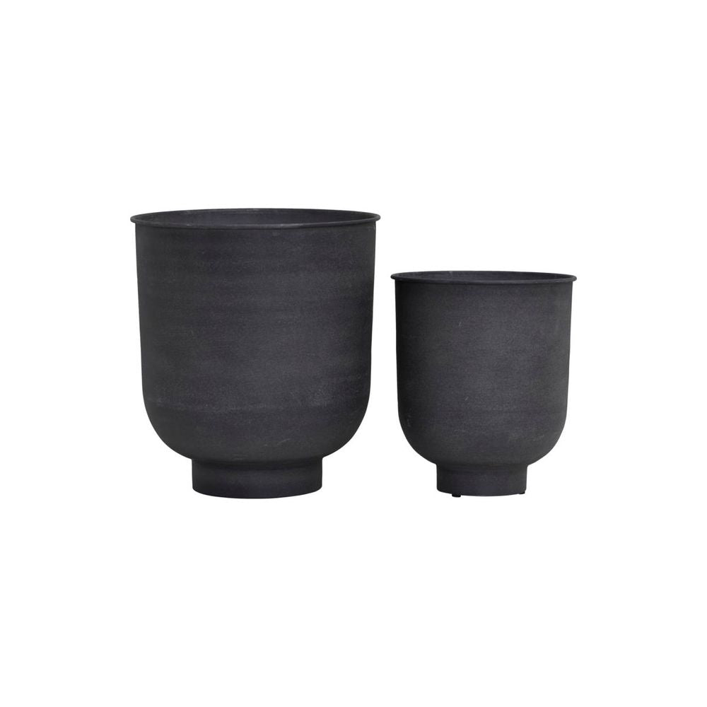 Hausarzt Pflanzen, Vig, Grau